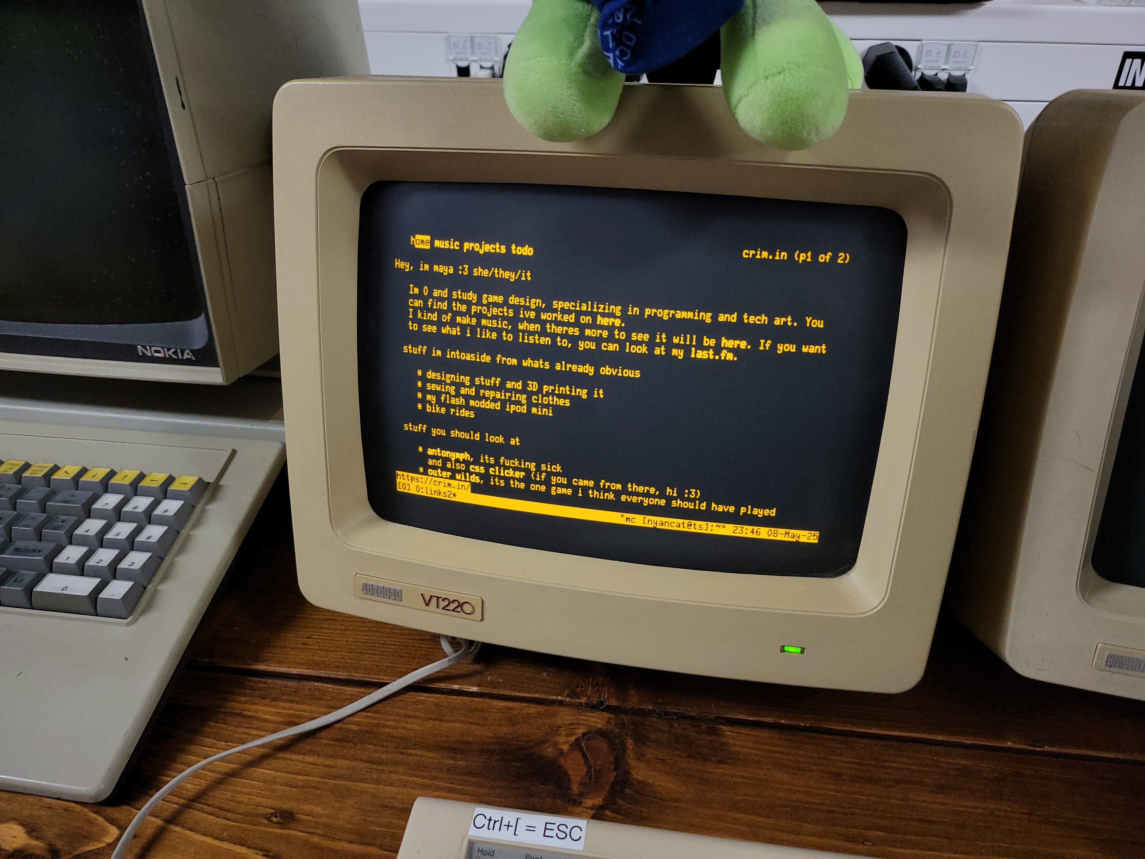 crim.in on a vt220