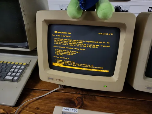 crim.in on a vt220